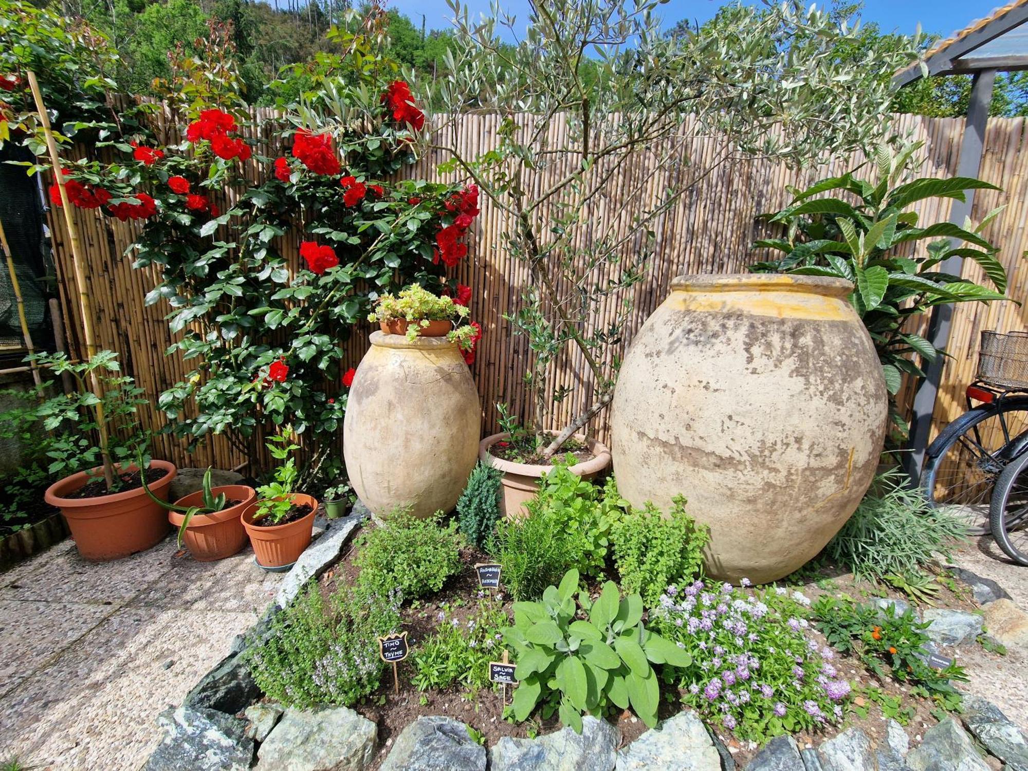 Le Giare B&B Levanto Exterior foto